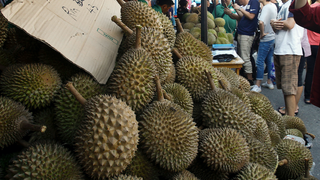500 Students Evacuated Over 'Extremely Pungent' Rotten Fruit at Australian University<em></em><em></em>
